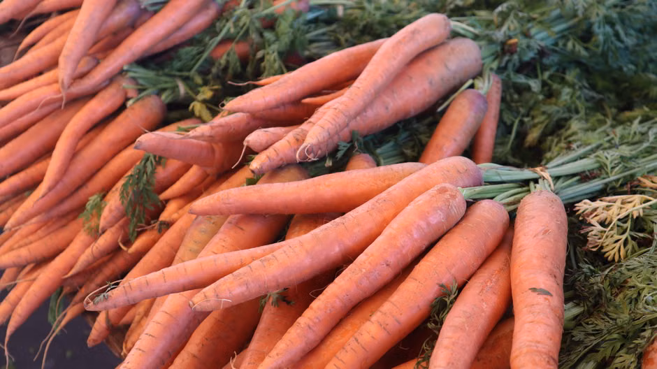 Canais e horário de atendimento da SA - Comercio Varejista de Produtos Alimenticios LTDA